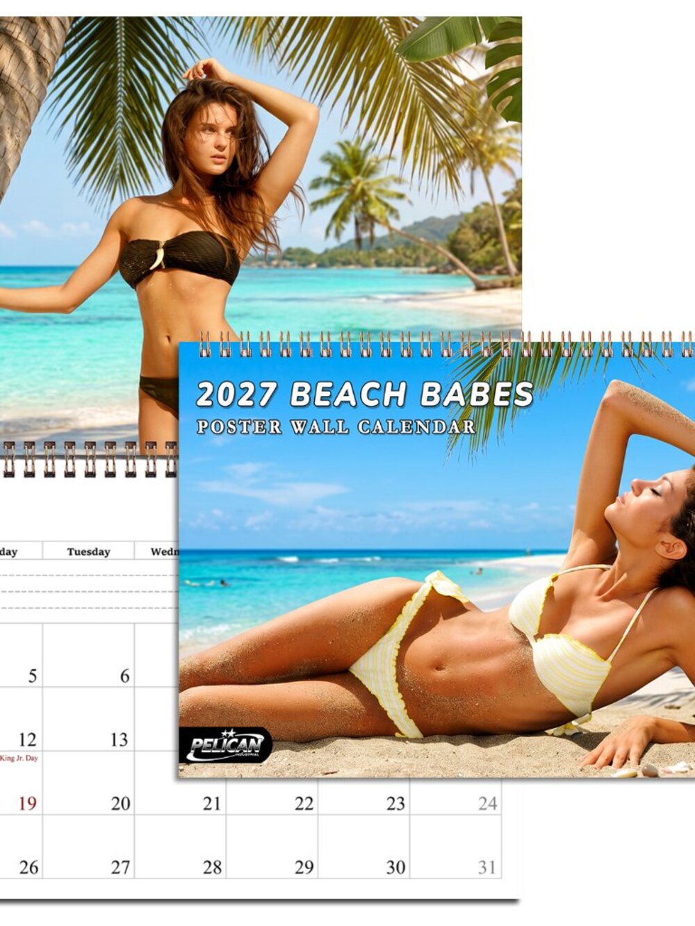 2027 Wall Calendar Beach Babes Bikini Women - 12 Months Desktop / Wall Calendar